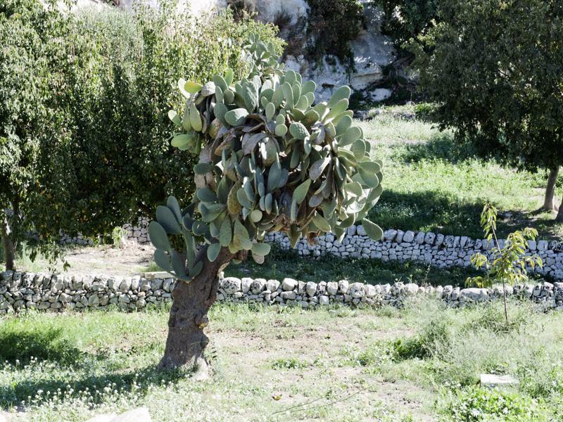 Valle Dell'Acanto Модика Экстерьер фото